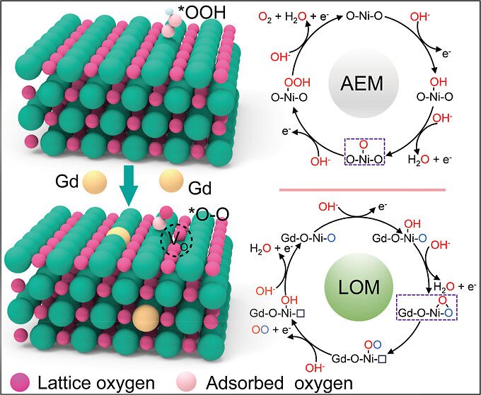 images_large_sc5c10142_0007.jpeg images_large_sc5c10142_0007.jpeg