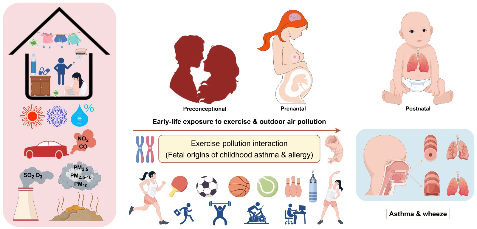 Graphical Abstract.jpg