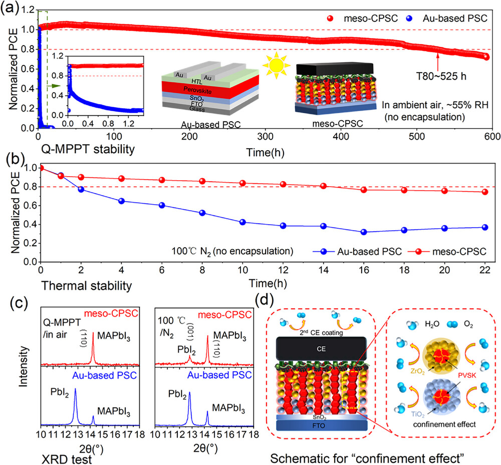 图2 稳定性研究.jpg