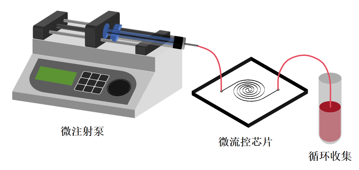 实验系统.png