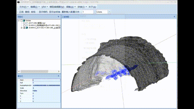 bamboo 00_00_00-00_00_30.gif bamboo 00_00_00-00_00_30.gif