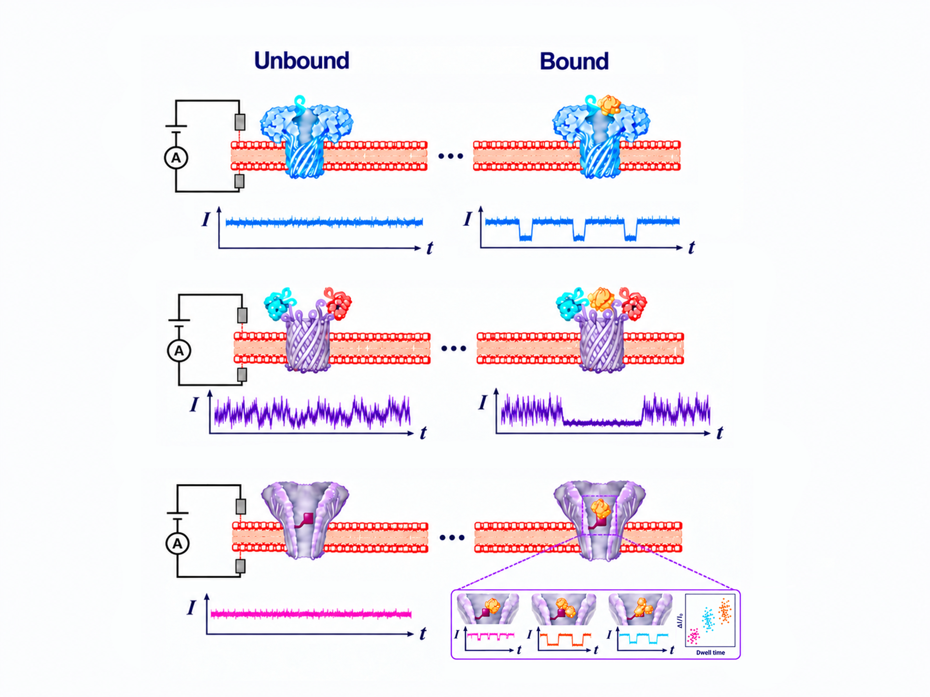 生物纳米孔单分子检测.png