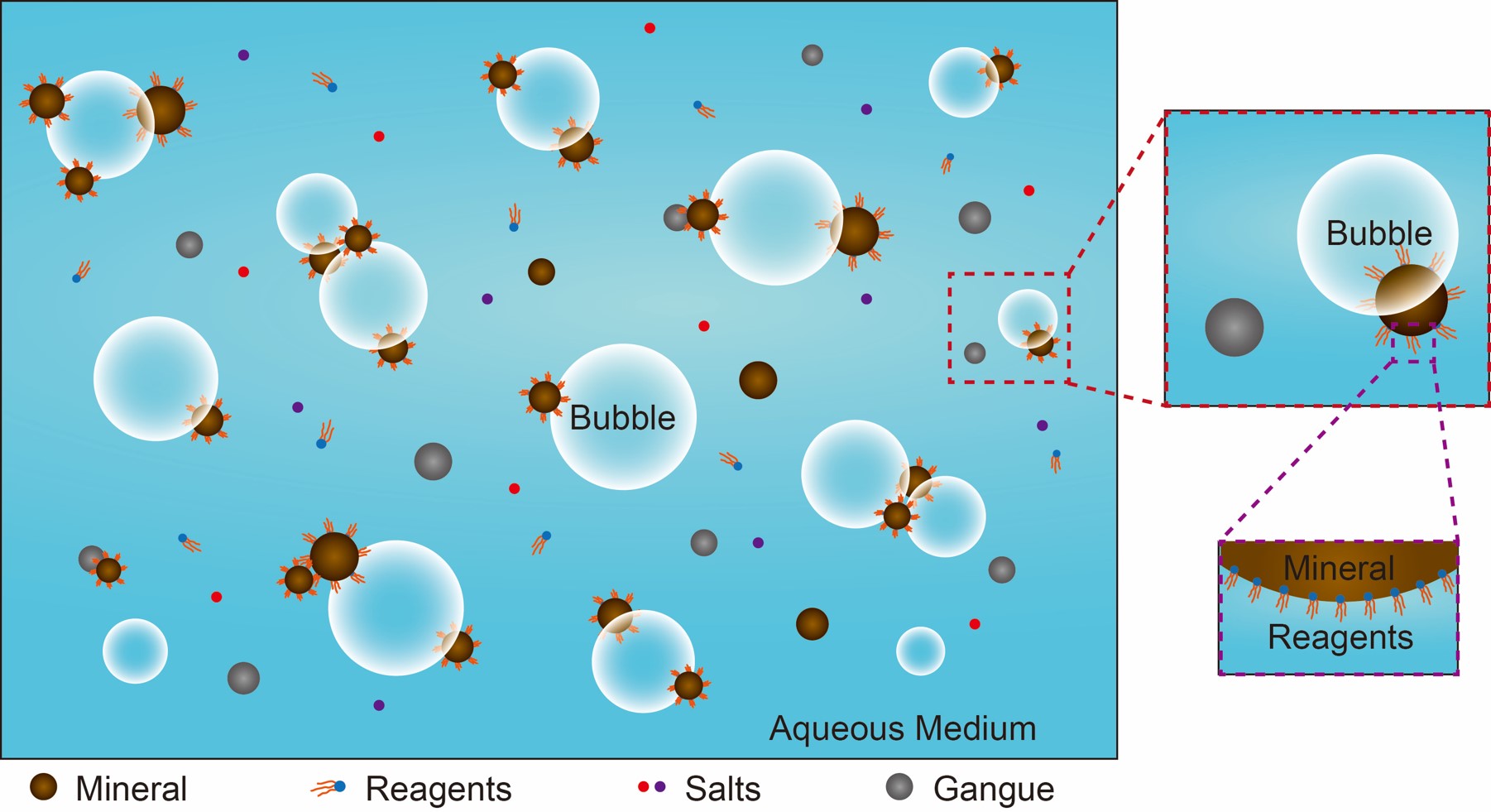 interaction mechanisms between air bubble and molybdenite